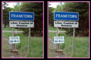 Franktown15